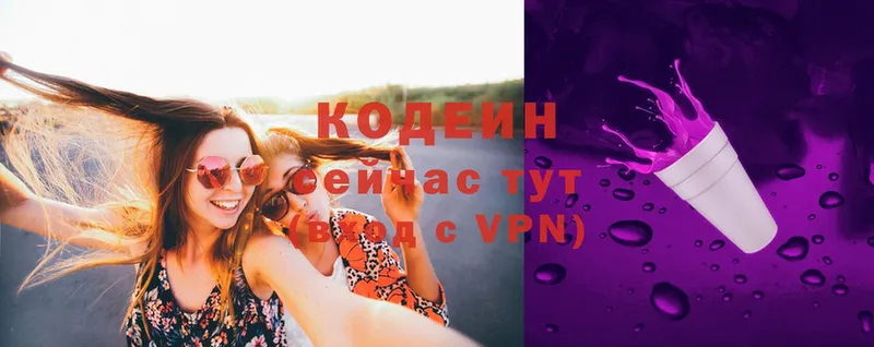 где можно купить   Вилючинск  Codein Purple Drank 